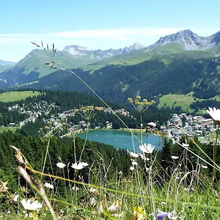Hotel Streiff - The Excelsior Arosa