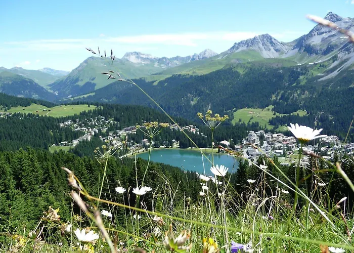 Otel The Excelsior Ostfluegel Arosa