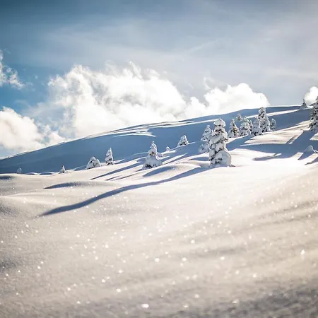 The Excelsior Ostfluegel Ароза